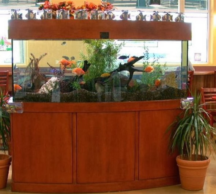 aquarium-technicians-photo